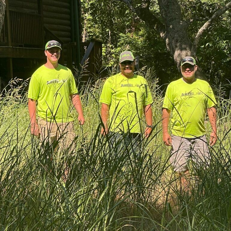 AmeriLawn team for home and business lawn care services | Get free quotes in Springfield and Nixa