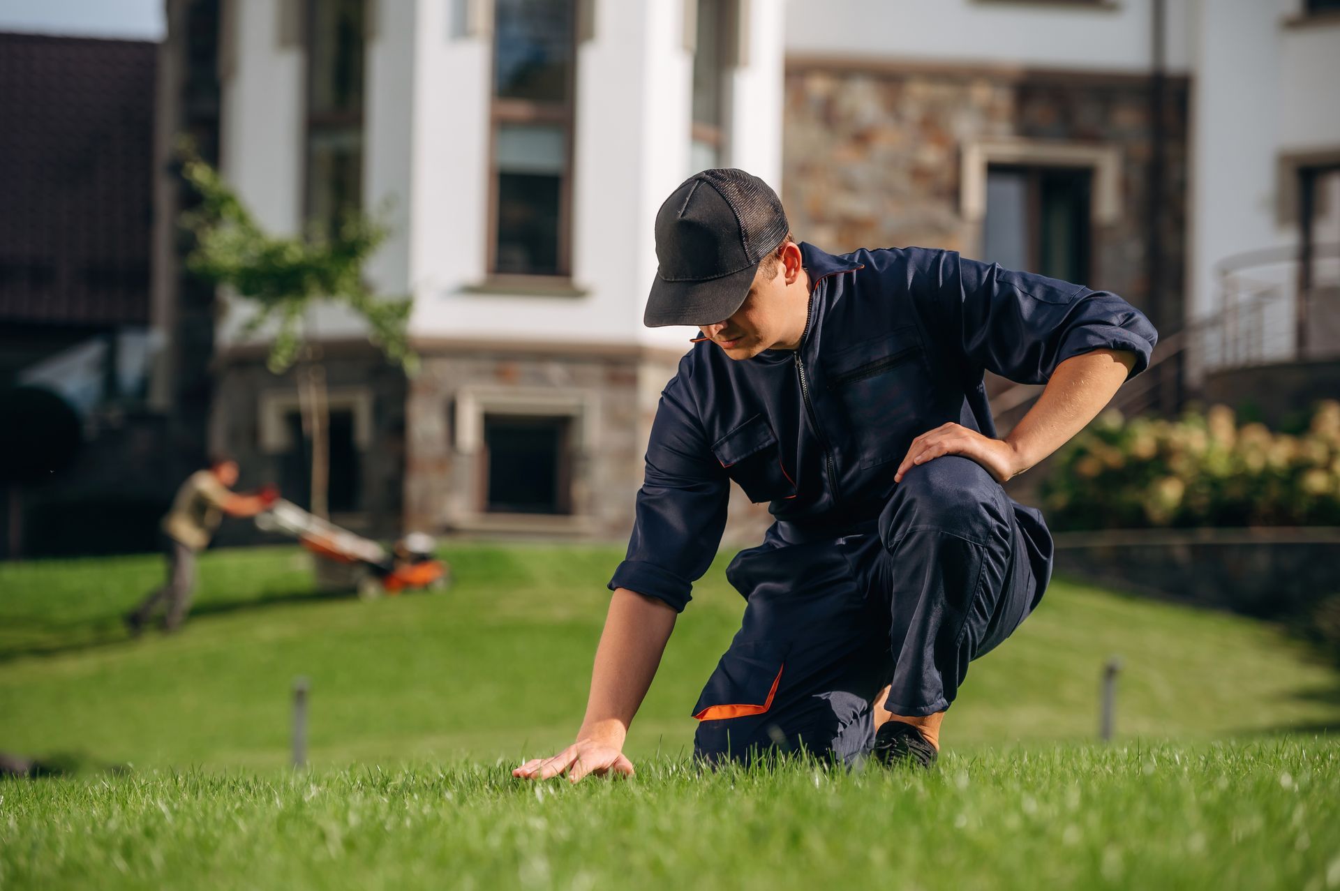 Lawn care professional evaluating turf condition before recommending fertilization