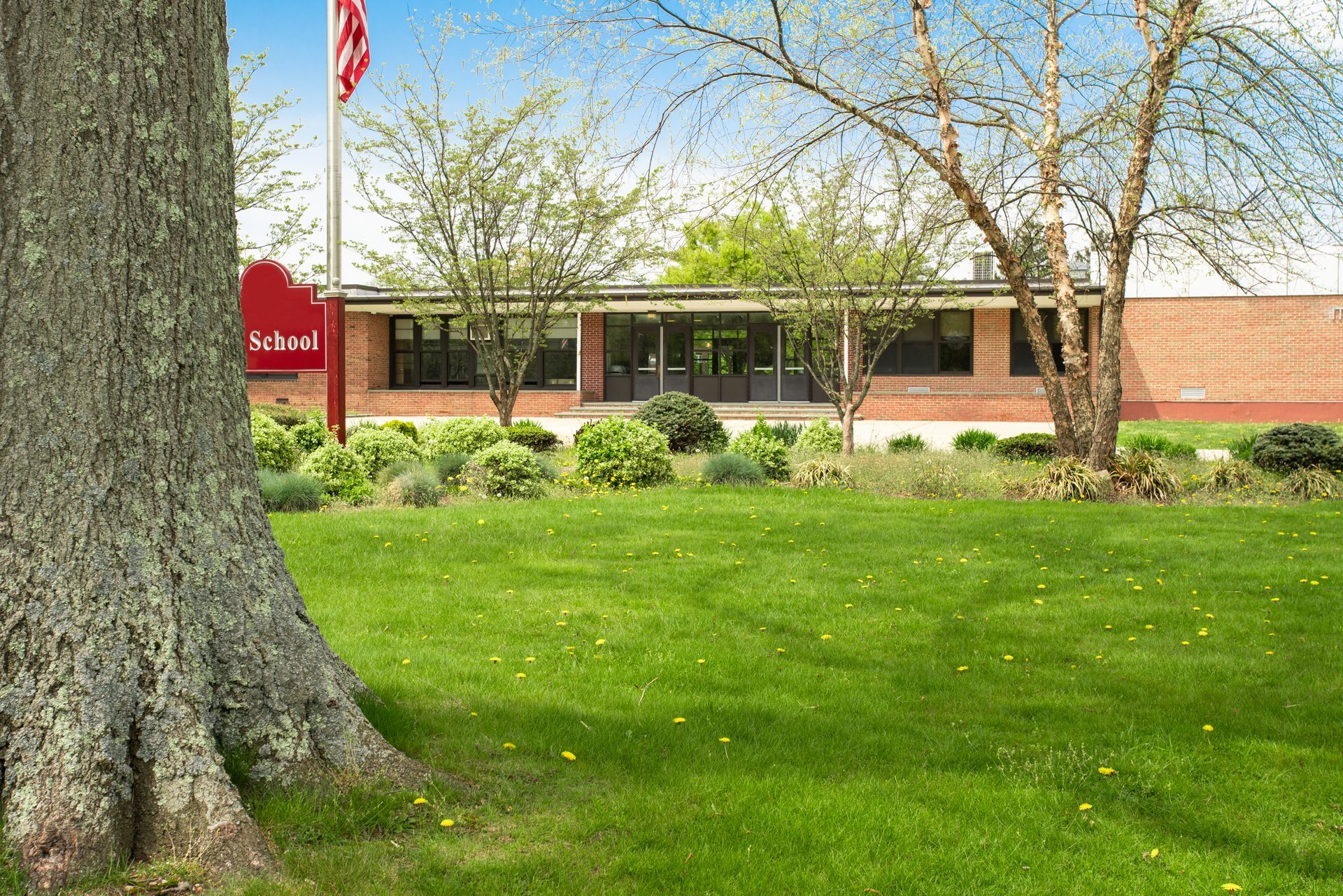 Maintained commercial property lawn in Springfield Missouri