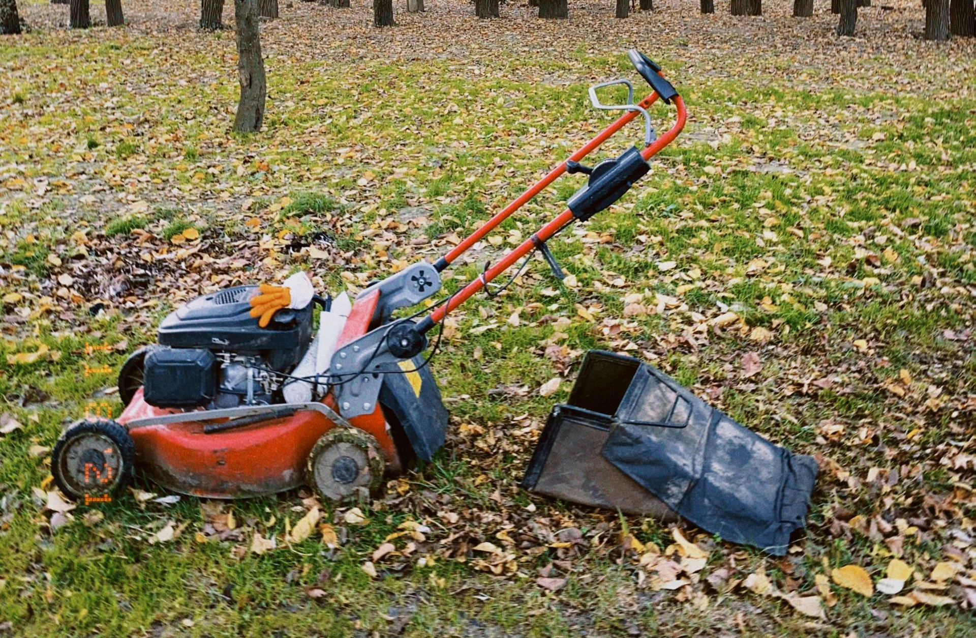 Red lawn mower on autumn leaves in Springfield, MO