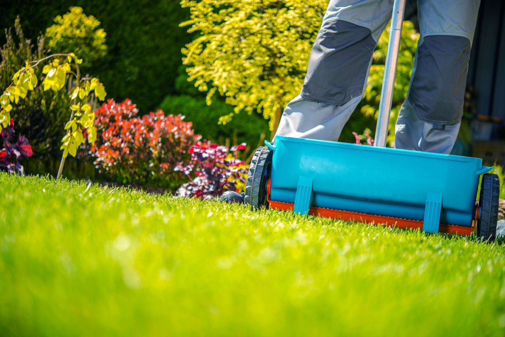 Professional applying lawn treatment fertilizer spreader to healthy green residential lawn in MO