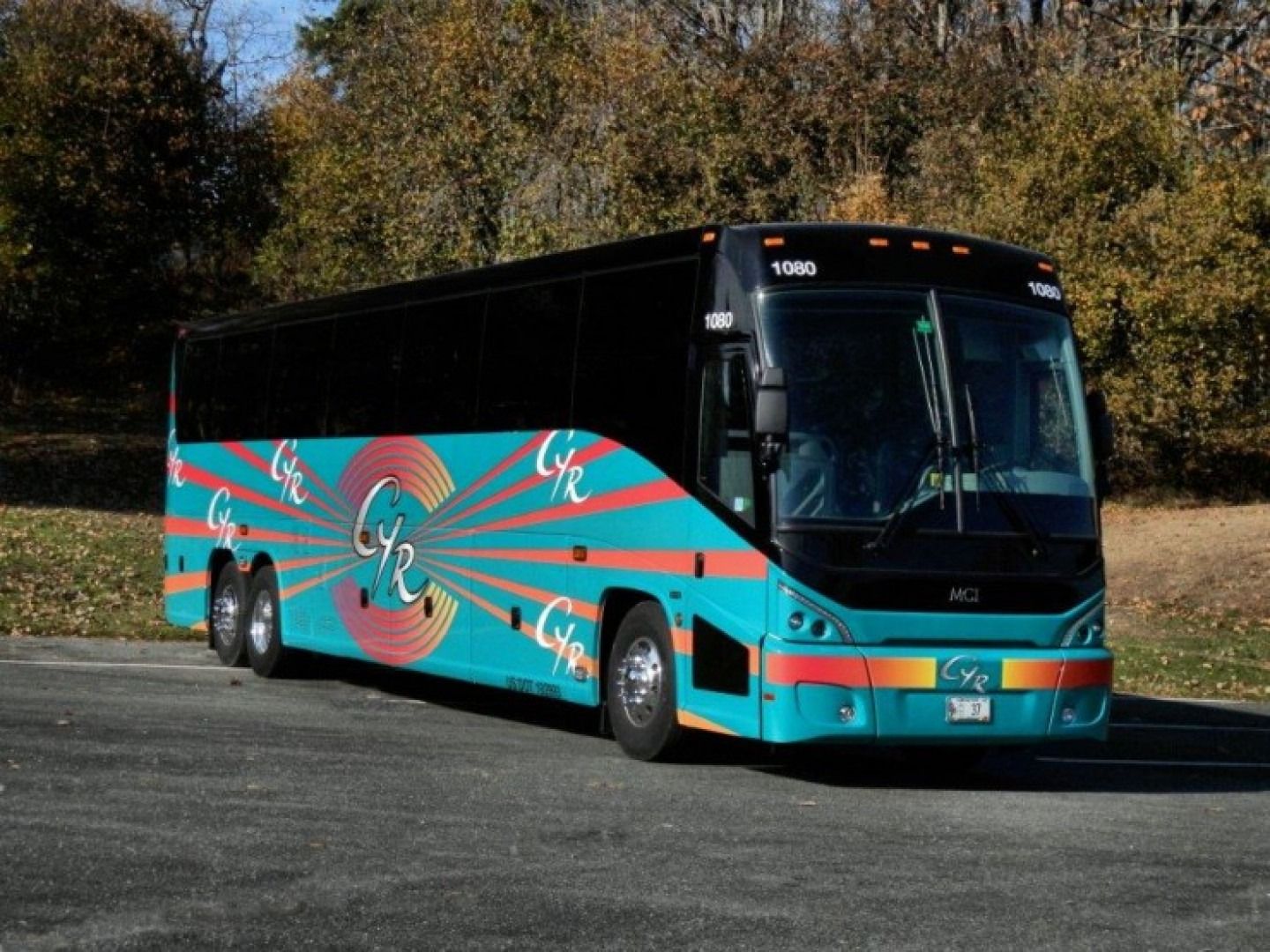 Turquoise-and-black coach bus with red accents parked on a road by trees