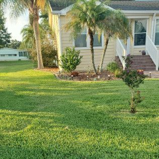 House with green lawn, palm trees, and shrubs in front.