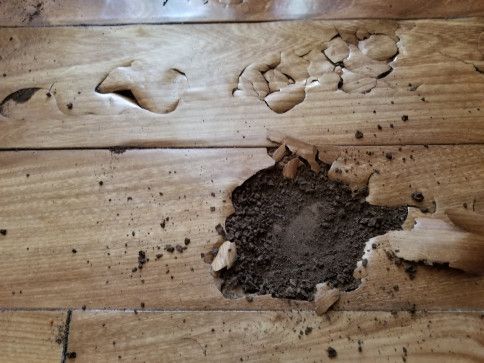 Damaged wooden floor with large holes filled with dark soil and debris.