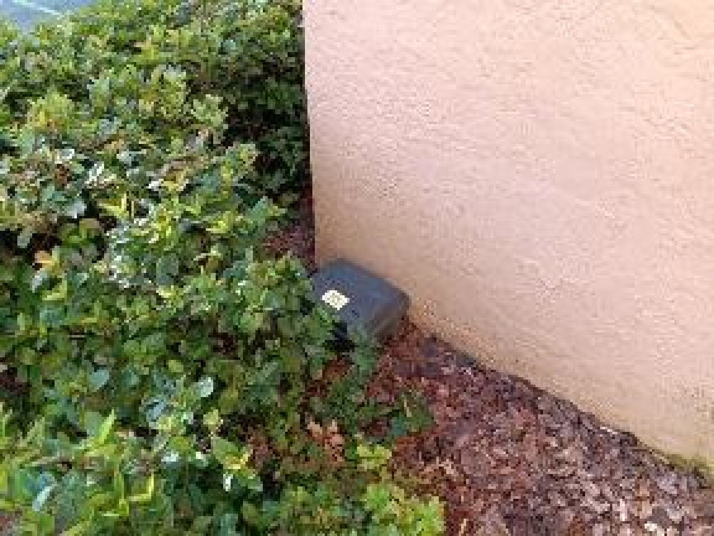 Black box at the base of a stucco wall, partially hidden by green bushes and brown mulch.