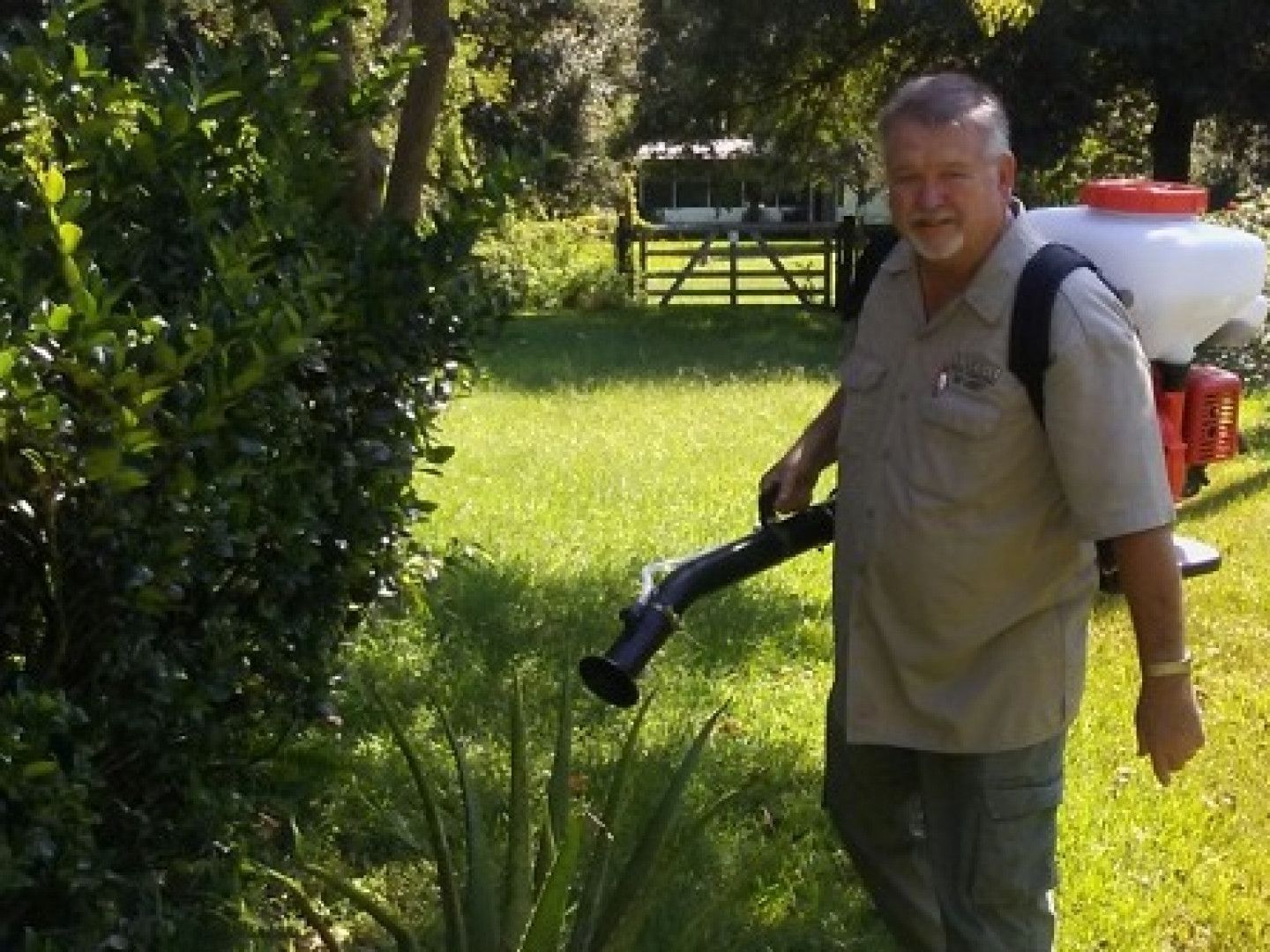 Man using a backpack sprayer in a grassy yard near bushes.