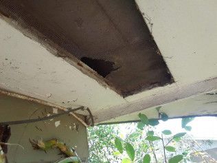 Underside of a white painted beam with a rectangular hole showing interior concrete, overgrown vegetation below.