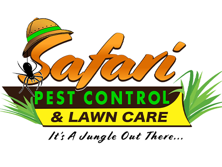 Logo for Safari Pest Control & Lawn Care: a safari hat, spider, orange text, and green grass.