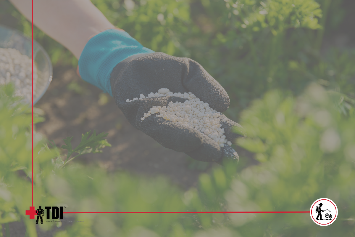 TDI Services lawn fertilization treatment application for Birmingham, Alabama lawn care using profes