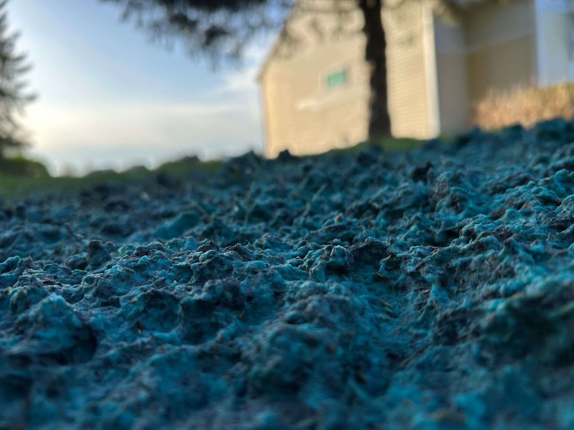 Close-up of blue textured ground with a blurred house and tree in the background