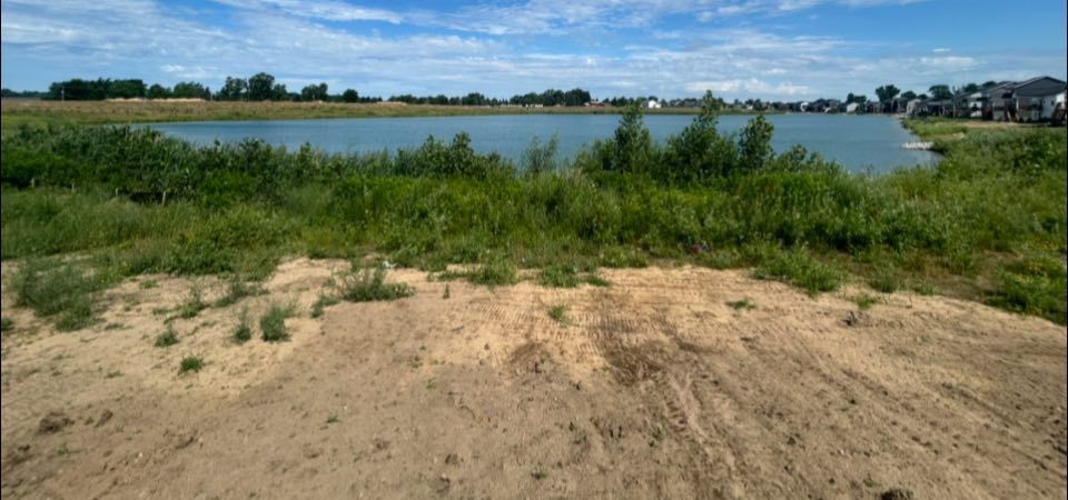 Sandy shoreline with green marsh grass beside a calm lake under a blue sky