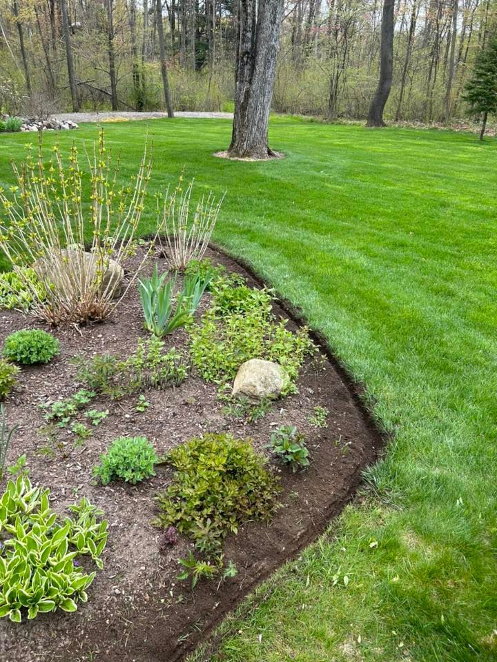 Curved mulched garden bed with small shrubs beside a bright green lawn and trees in a wooded yard