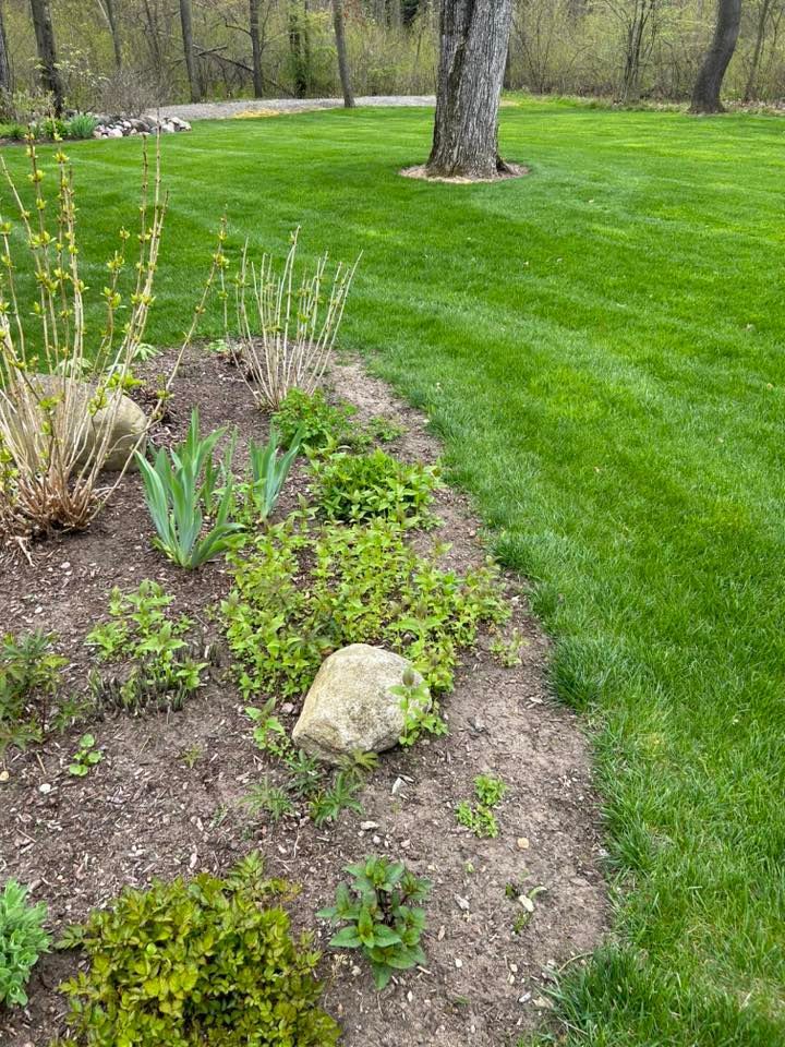 Curved garden bed with small plants and a large rock beside a green lawn and trees