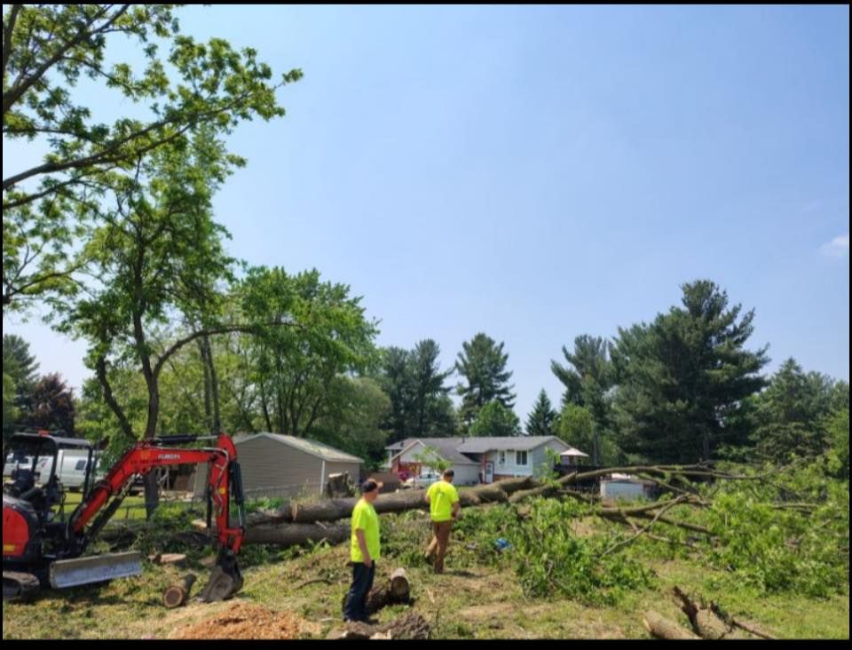 Workers with a red excavator clearing debris in a grassy residential yard under a clear blue sky