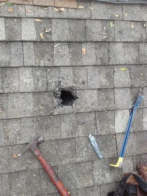 Trench dug in a grassy yard, leading to a house with black siding, and an electrical box.