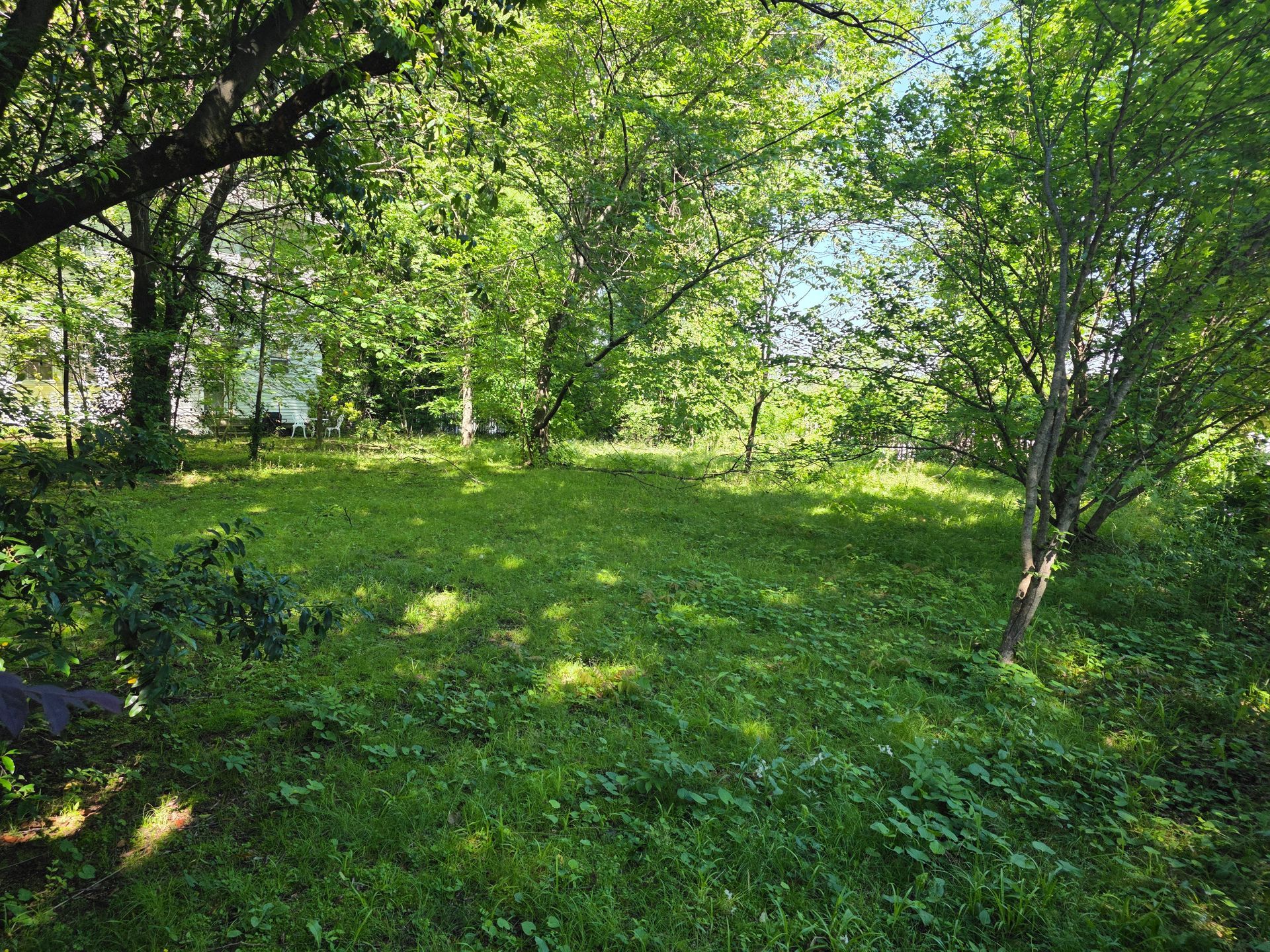 A lush green field surrounded by trees on a sunny day.