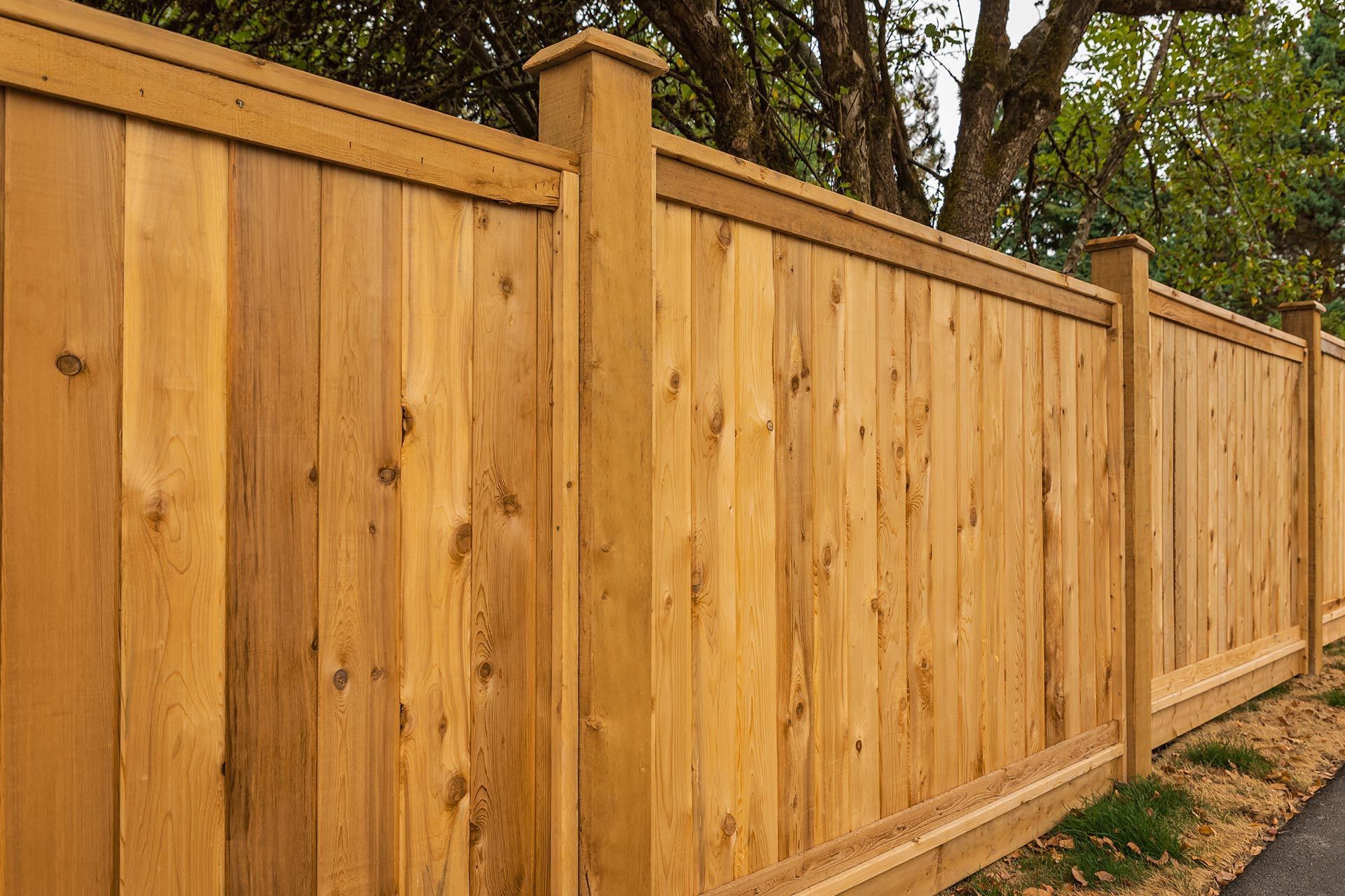 a newly built cedar privacy fence enclosing a yard. a newly built cedar privacy fence enclosing a yard.