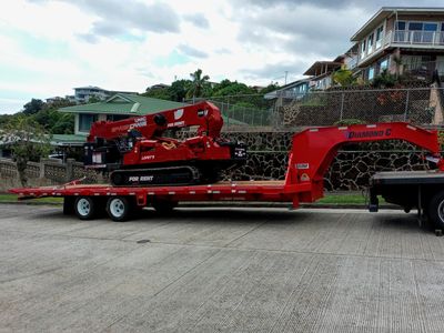 Crane mini crane job 1