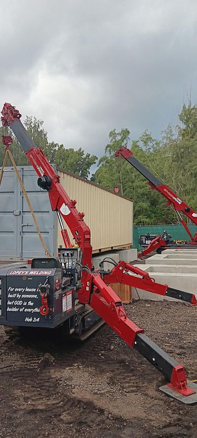 Crane mini crane job 4
