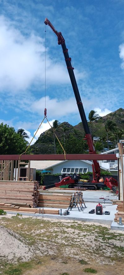 Homes mini crane job 1
