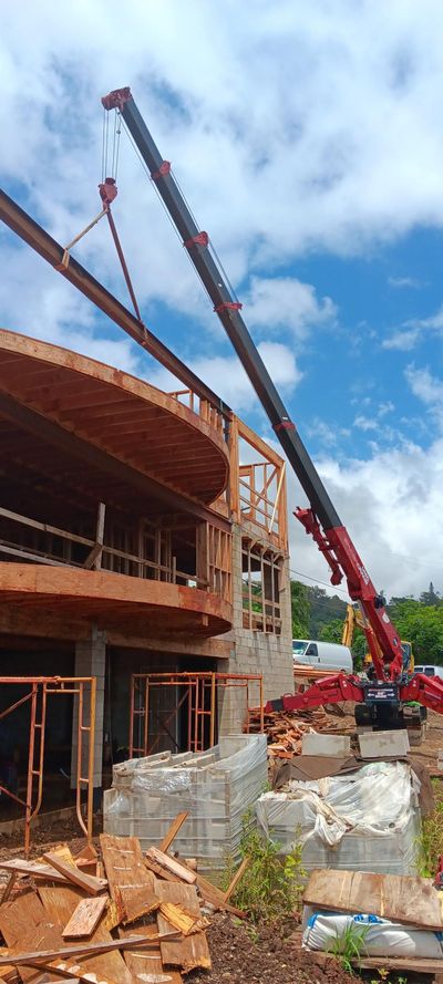 Homes mini crane job 10