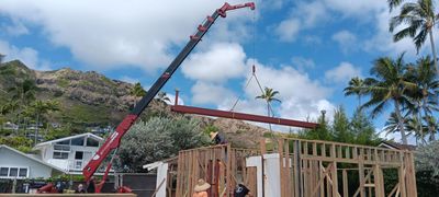 Homes mini crane job 4