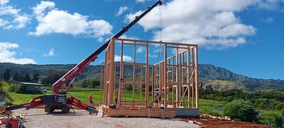 Homes mini crane job 6