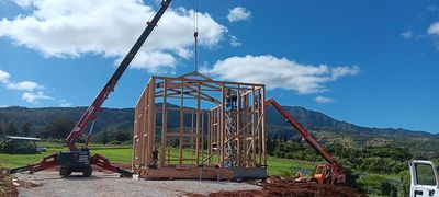 Homes mini crane job 8