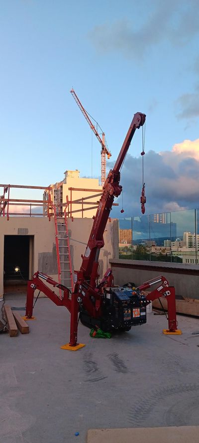 Small Spaces mini crane job 10