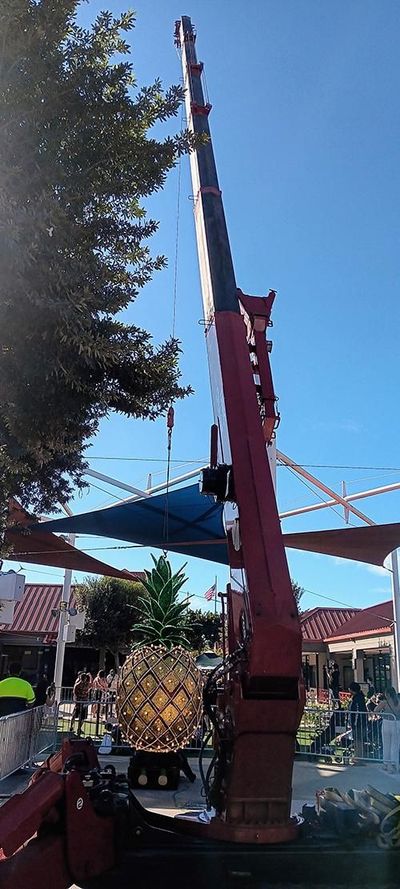 Small Spaces mini crane job 4