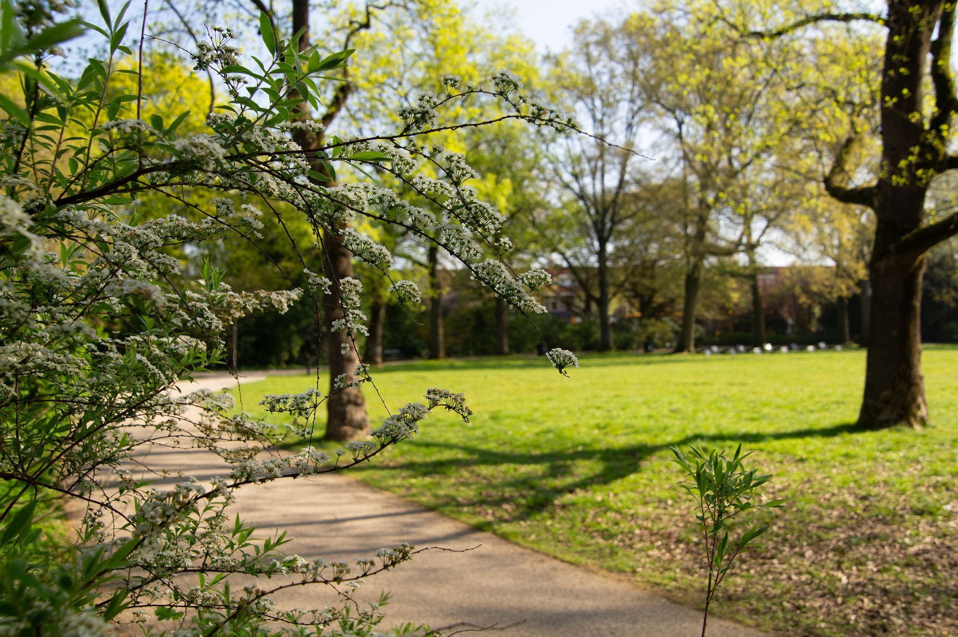 Julianapark utrecht 