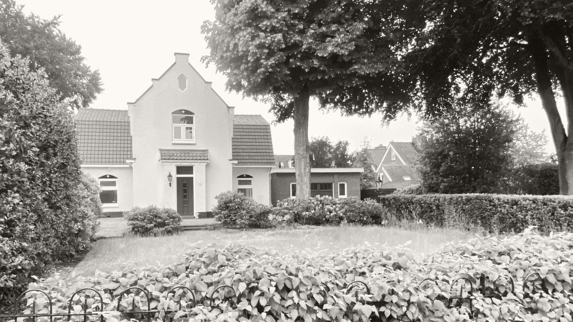 Houten jaloezieën Luxaflex