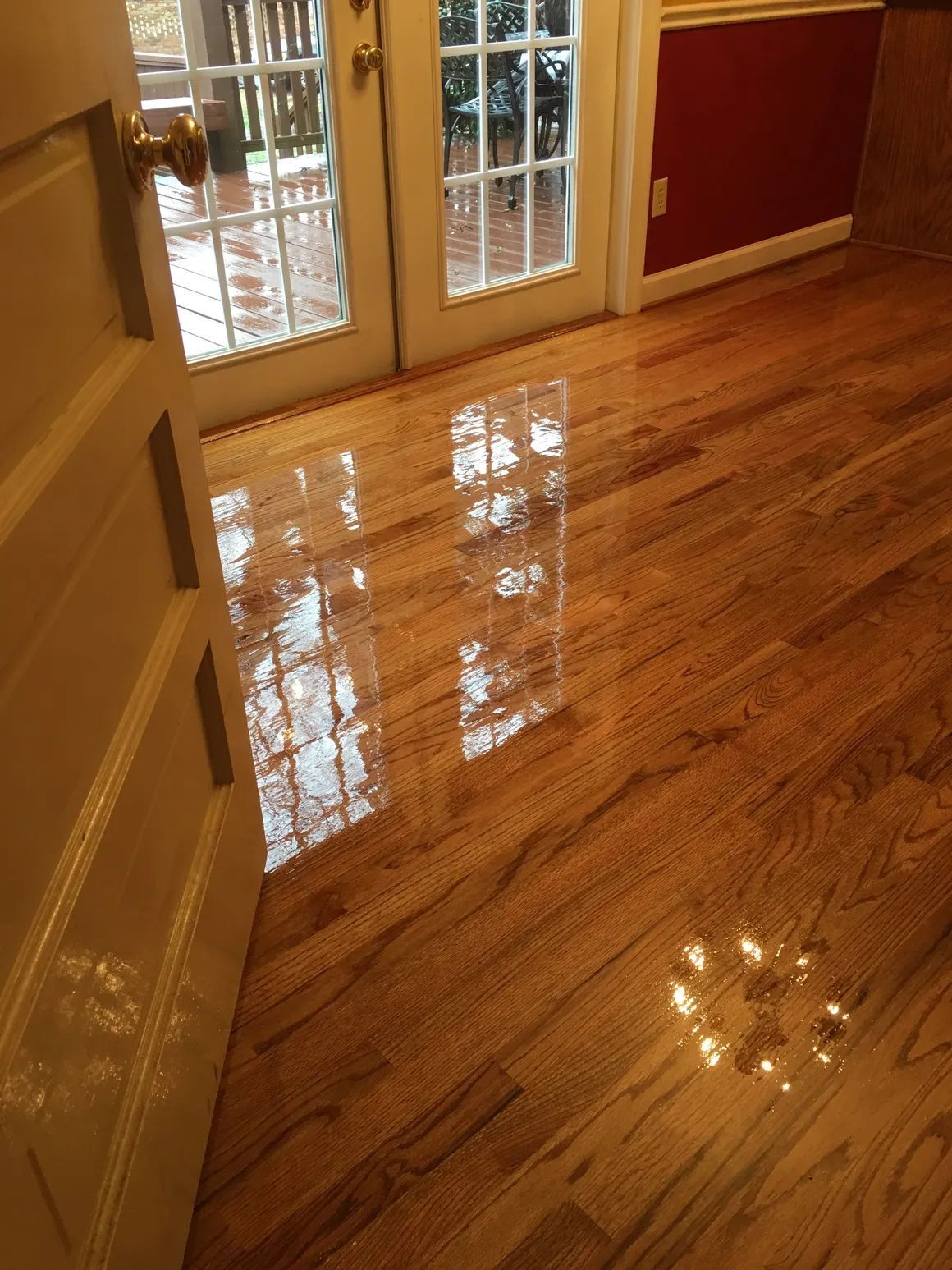 Shiny hardwood floor in a hallway with reflected light and a glass door in the background