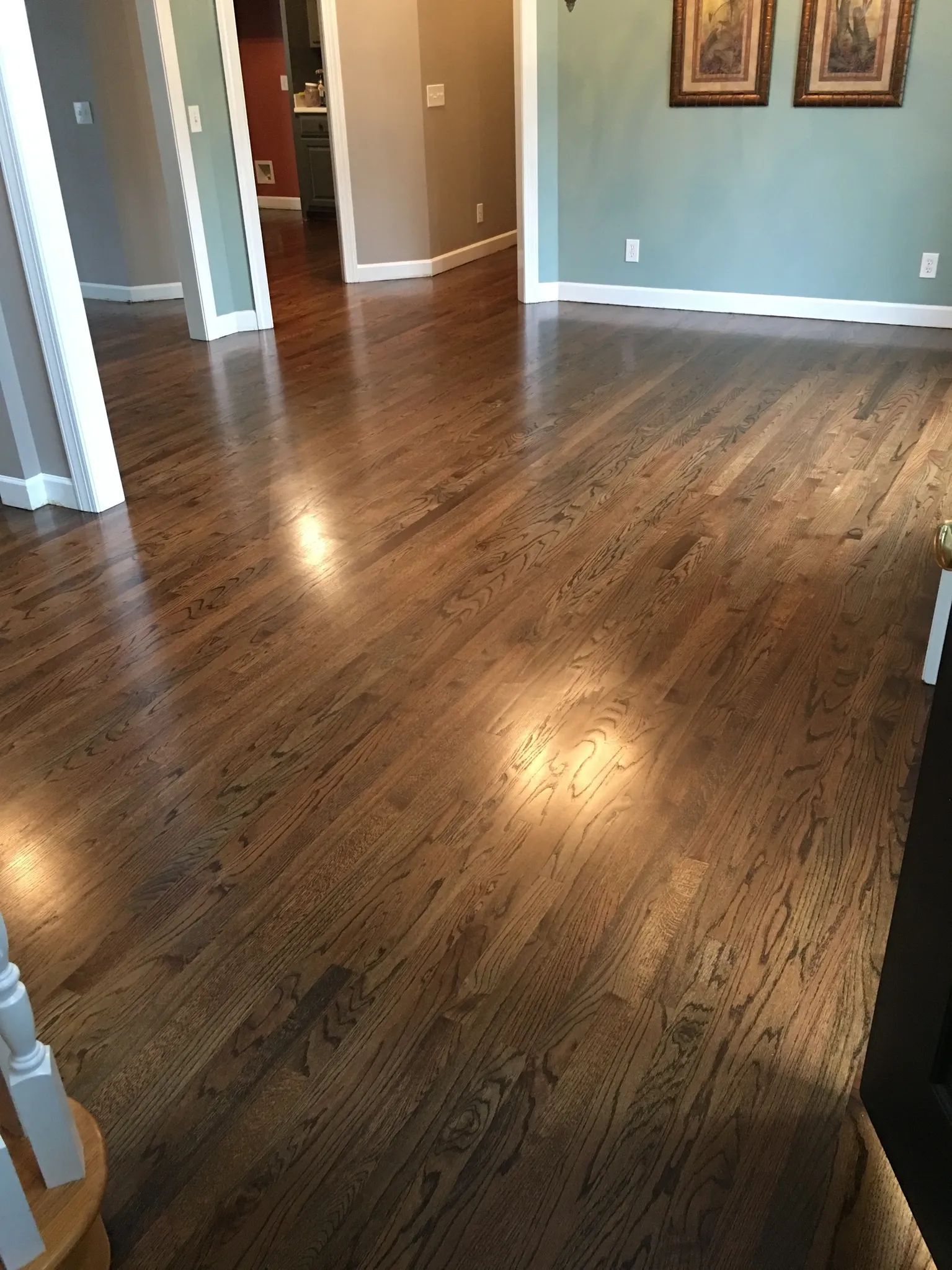 Empty living room with dark hardwood floors and teal walls, lit by sunlight.