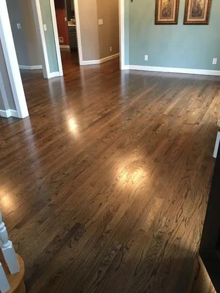 Empty room with hardwood floors and green walls, lit by sunlight from the left.