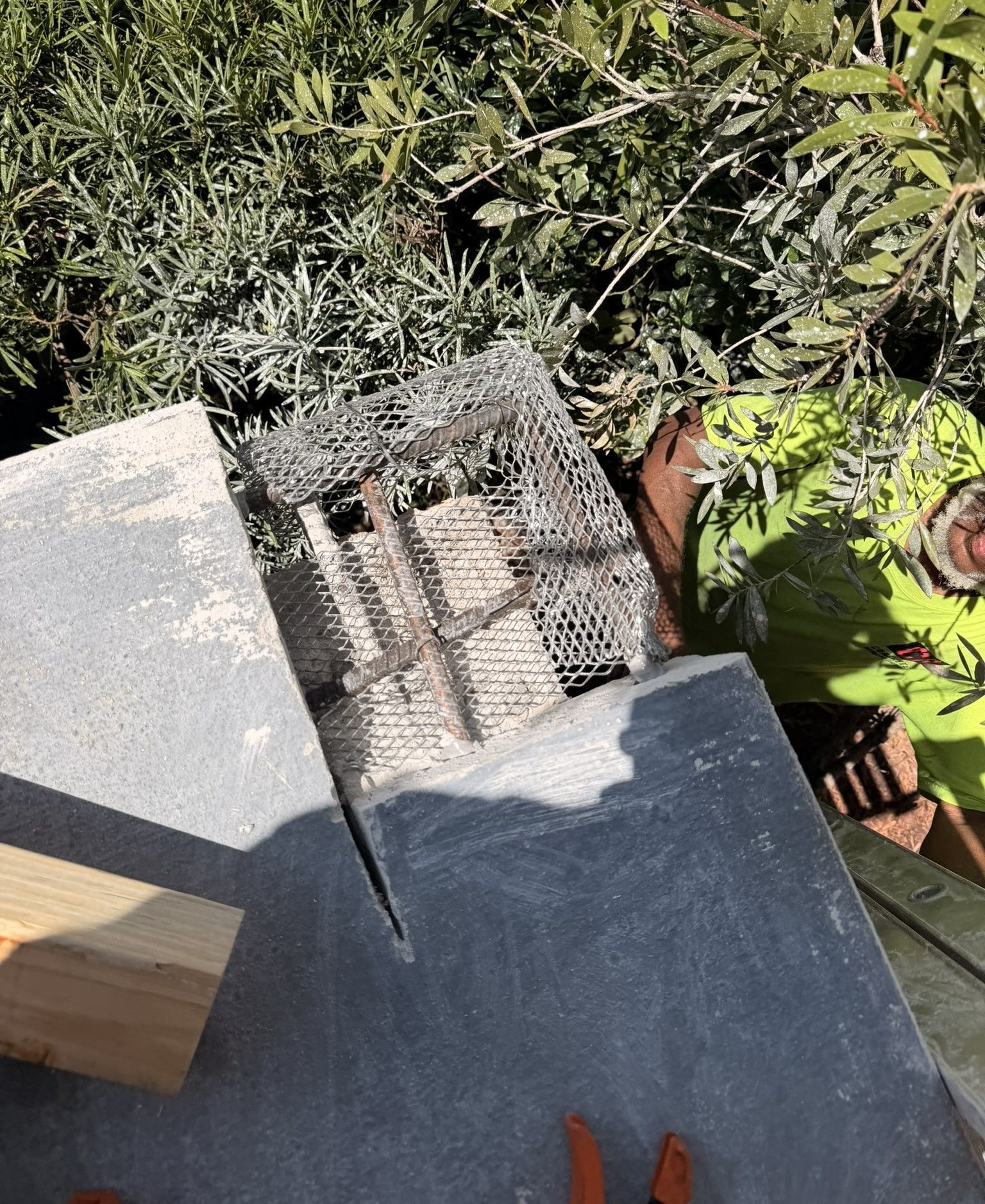 Broken concrete step with rusted metal grate, next to plants and a person in a neon shirt outdoors