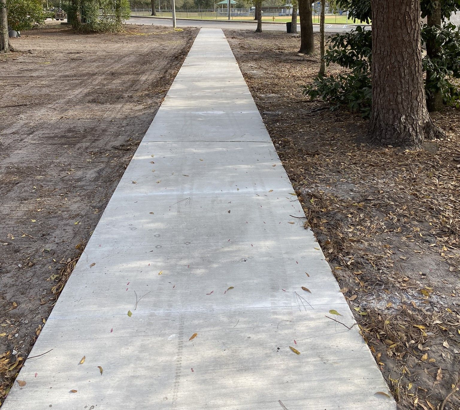 A concrete walkway going through a park with trees on both sides.