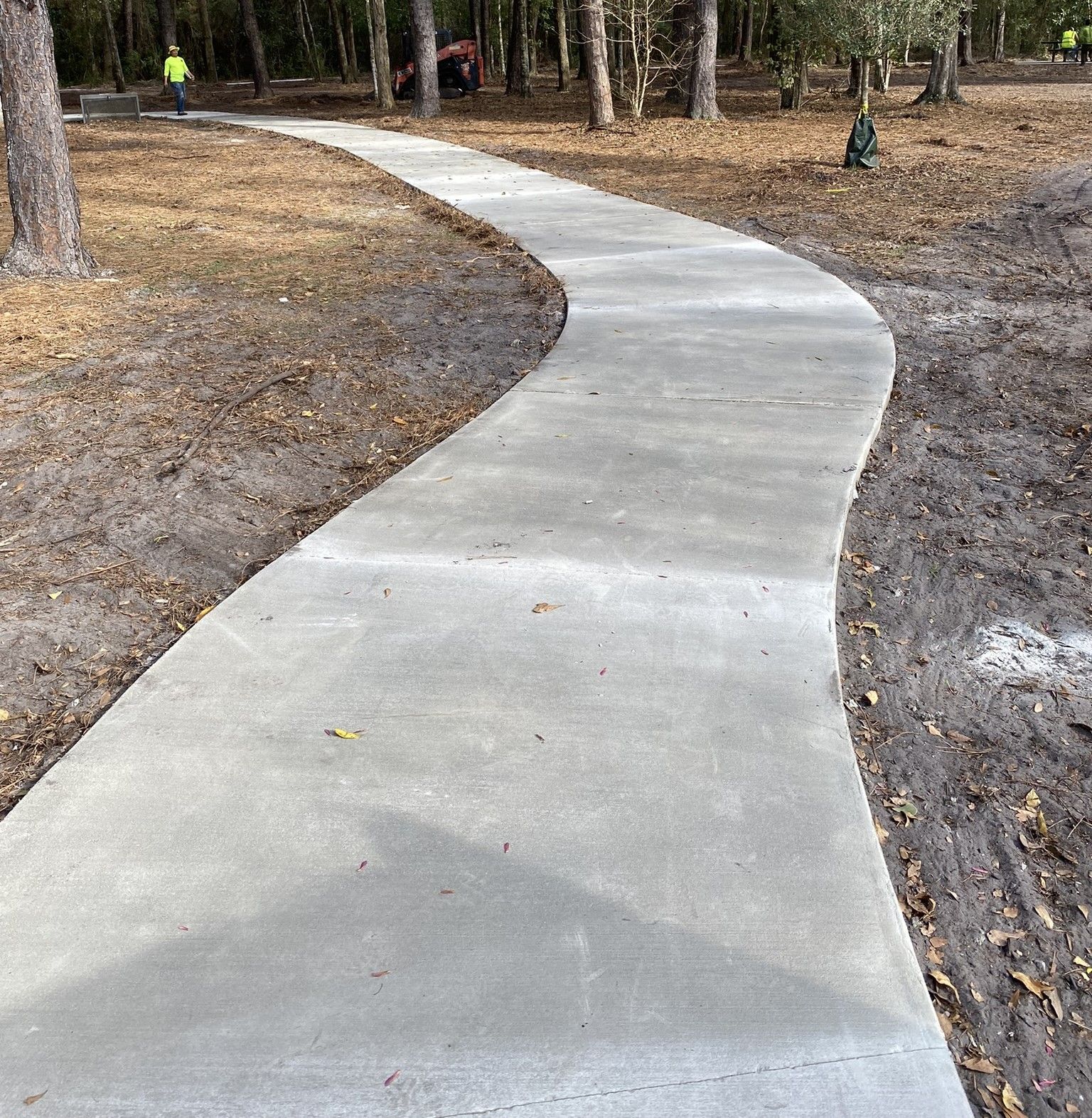 A curved concrete walkway going through a forest