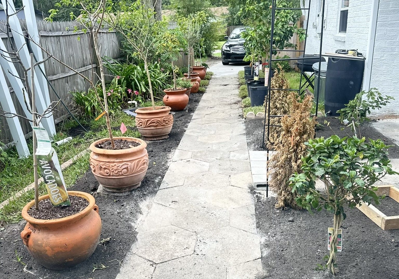 Narrow  paver walkway lined with potted plants and trees in a garden. A car is visible in the background.