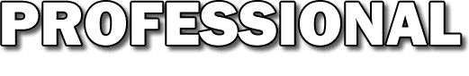 Professional Tax & Bookkeeping Service LLC