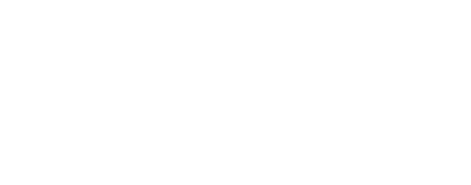 Palmer Construction Company logo - white