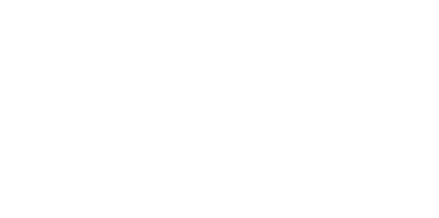 Palmer Construction Company logo - white