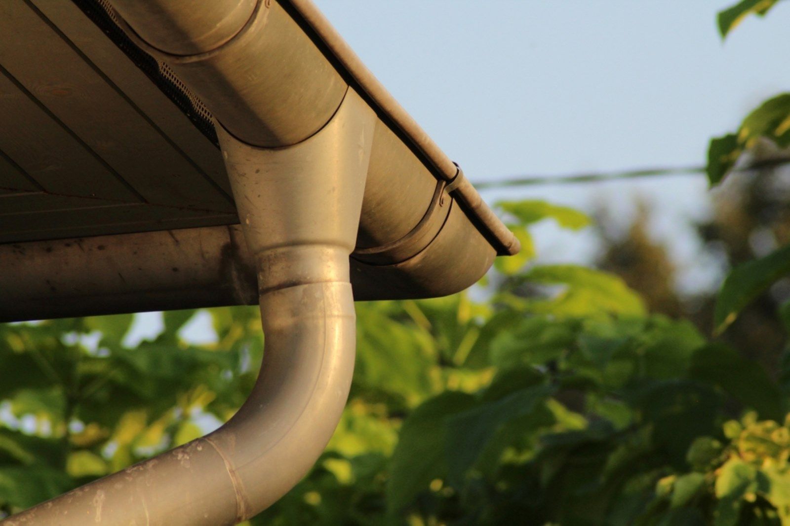 A Close Up of a Gutter on a Roof With Trees in the Background — Warrnambool Emergency Plumbing in Warrnambool, VIC