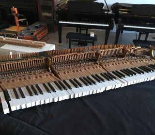 Un pianoforte viene riparato in una stanza insieme ad altri pianoforti.