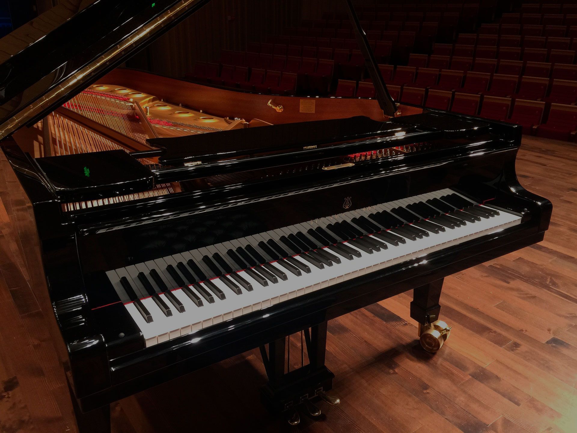 Un pianoforte a coda è appoggiato su un pavimento di legno in una stanza buia.