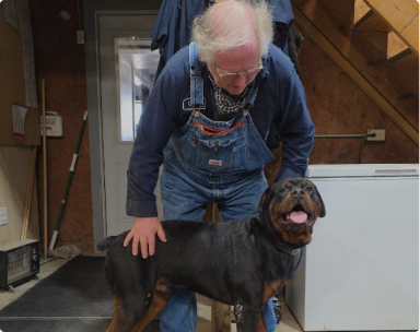 An older man in overalls pets a black dog standing indoors on a wooden floor. | Pete's Automotive