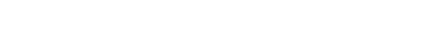 White horizontal bar on a light gray background with a thin black line near the top and bottom. | Pete's Automotive
