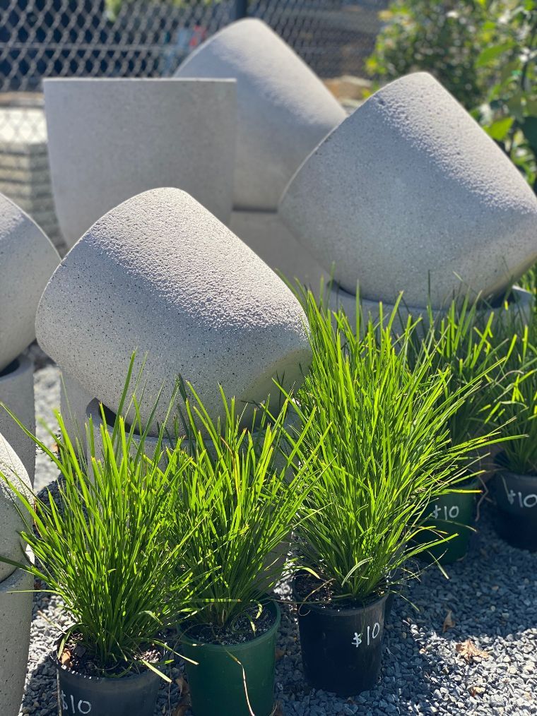 Pots And Plants — Landscape Supplies in Port Macquarie, NSW