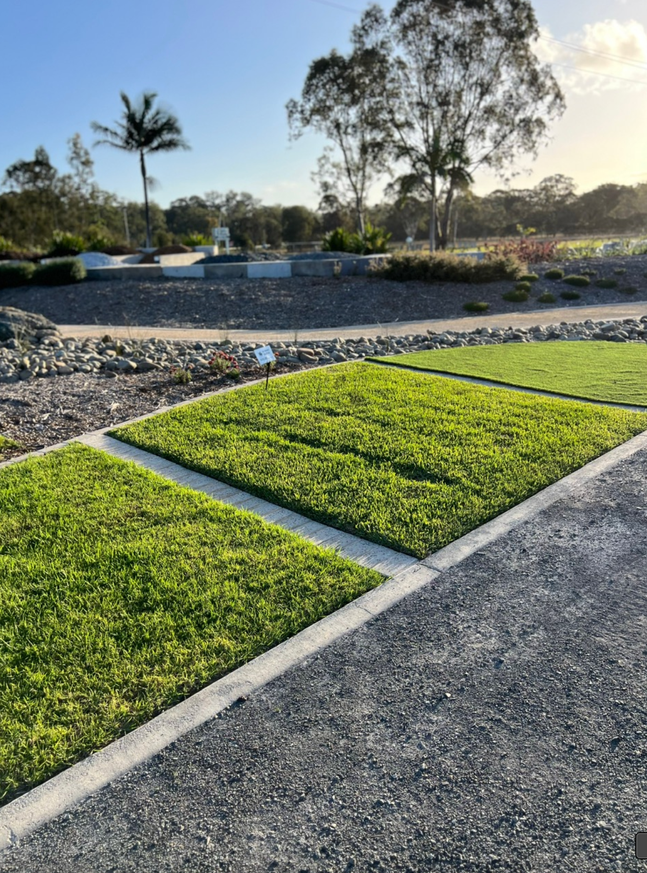Sandstone Block Edging Around Tree — Masonry Products in Port Macquarie, NSW