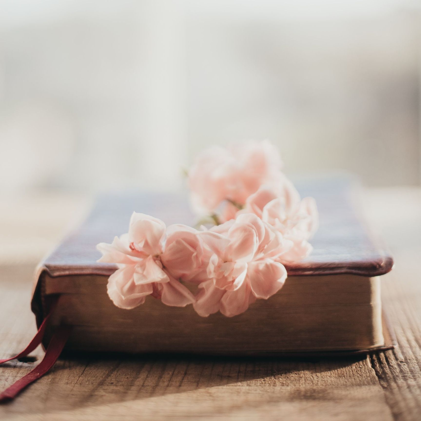 Pink flowers on a table with a blue runner